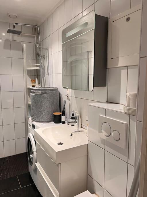 Royal Neighbourhood Elegant Flat In Central Oslo Bagian luar foto