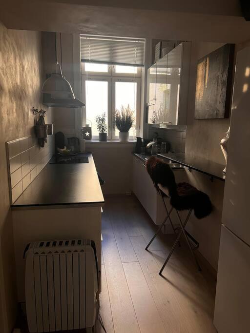 Royal Neighbourhood Elegant Flat In Central Oslo Bagian luar foto